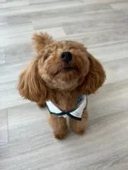 める♡即購入大歓迎♡の画像