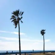 ramumuの画像