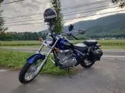 Sarazの画像