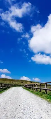 せーこ♡
