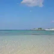 みかんの画像