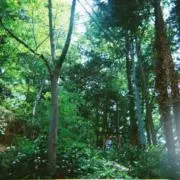 とつとつの画像