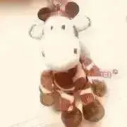 るる▷▷▷の画像