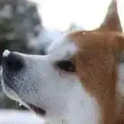 ✩かなみ✩の画像