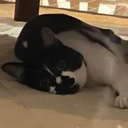 サッカー小僧