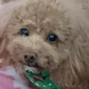 まぁちゃん