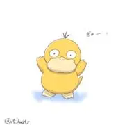 コッチの画像