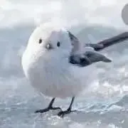 しまえながの画像
