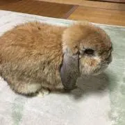 ♡ちゃみ♡の画像