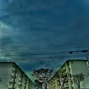 森の画像