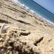 ニックの画像
