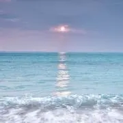 ひ−ろ−の画像