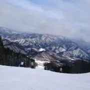 ryoya