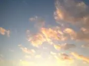 ポチタの画像