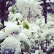 ポコ太郎