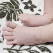ののの画像