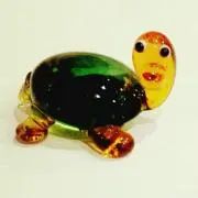 カメ太郎