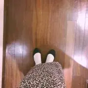わんほん