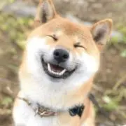 あやかの画像