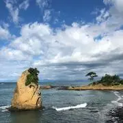 帰って寝たいの画像