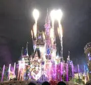星花☘️即購入◎❤︎24時間以内発送☘️の画像