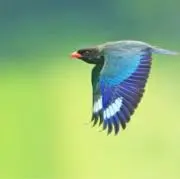 ミカズキ プロフ必須の画像