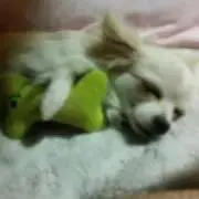 クリスタル