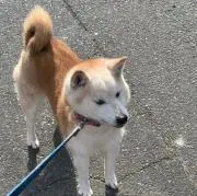 Q太郎