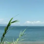虹・宜しくお願い致します(❁ᴗ͈ˬᴗ͈)