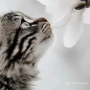 雨読の画像