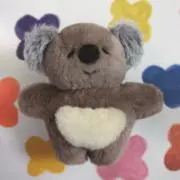 sonoの画像