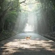 透⟡.*の画像