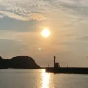 TOTOの画像