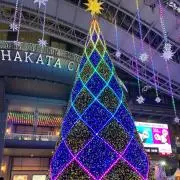モンティの画像