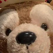 まるる☆プロフ必読の画像