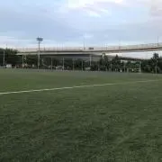 Daicの画像