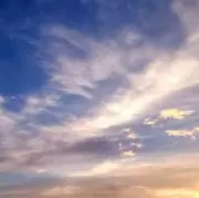 Summer25の画像