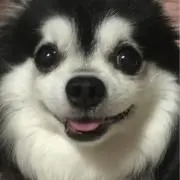 くにちゃん