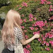 断捨離の為4/11までの出品の画像