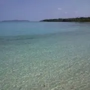 サマー