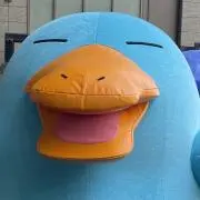 まとめ売・バラ売も可】九龍妖魔學園紀 遺跡編&学園編カレンダー