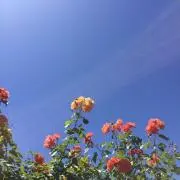 あ
