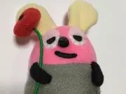 ぽちの画像