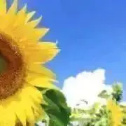 まりあの画像