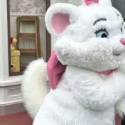 にゃんの画像