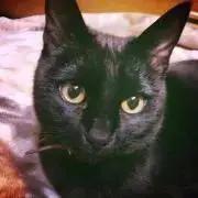 くま缶