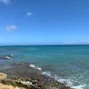 まめつぶ
