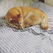 yukiyumの画像