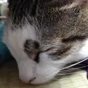 さきもん⚠︎プロフ必読⚠︎