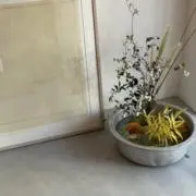 meの画像